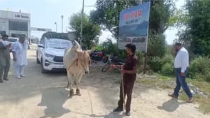 5 ਮਹੀਨਿਆਂ ਤੋਂ ਨਹੀਂ ਮਿਲੀ RC ਤਾਂ ਭੜਕਿਆ ਗਾਹਕ, ਕੀਤਾ ਅਨੋਖਾ ਕੰਮ - ਦੇਖੋ VIDEO 5 ਮਹੀਨਿਆਂ ਤੋਂ ਨਹੀਂ ਮਿਲੀ RC ਤਾਂ ਭੜਕਿਆ ਗਾਹਕ, ਕੀਤਾ ਅਨੋਖਾ ਕੰਮ - ਦੇਖੋ VIDEO