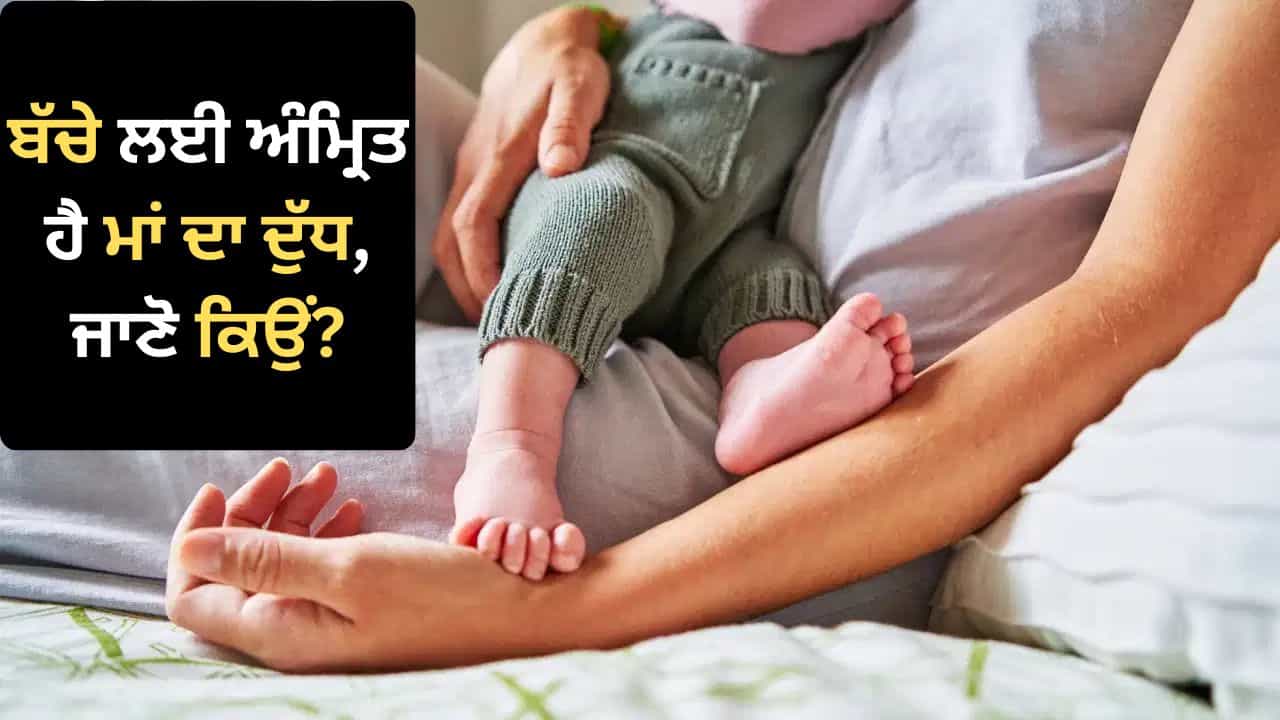 ਬੱਚੇ ਲਈ ਕਿਉਂ ਜ਼ਰੂਰੀ ਹੈ ਮਾਂ ਦਾ ਦੁੱਧ? ਇਸ ਨਾਲ ਜੁੜੀਆਂ ਇਹ ਗੱਲਾਂ ਨਹੀਂ ਜਾਣਦੇ ਹੋਵੋਗੇ ਤੁਸੀਂ! ਬੱਚੇ ਲਈ ਕਿਉਂ ਜ਼ਰੂਰੀ ਹੈ ਮਾਂ ਦਾ ਦੁੱਧ? ਇਸ ਨਾਲ ਜੁੜੀਆਂ ਇਹ ਗੱਲਾਂ ਨਹੀਂ ਜਾਣਦੇ ਹੋਵੋਗੇ ਤੁਸੀਂ!