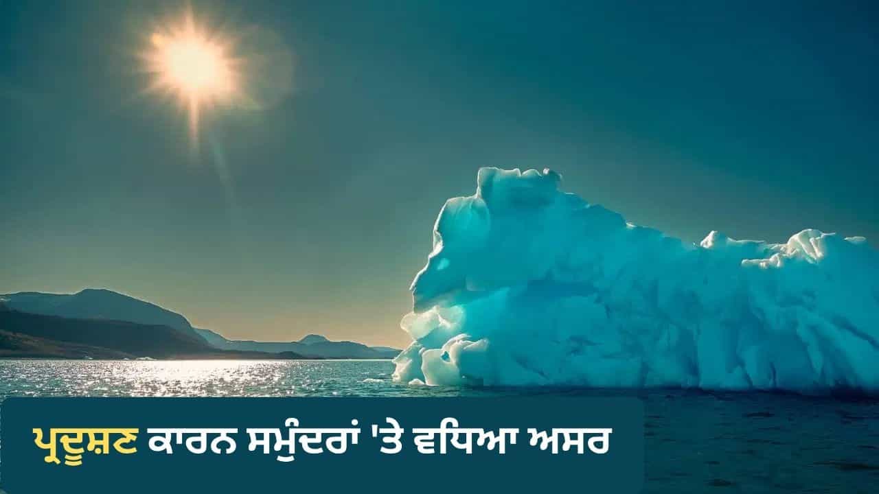 ਧਰਤੀ ਹੀ ਨਹੀਂ, ਸਮੁੰਦਰ ਚ ਵੀ ਅੱਗ! ਪ੍ਰਦੂਸ਼ਣ ਕਾਰਨ ਤਾਪਮਾਨ ਨੇ ਅਗਸਤ ਚ ਬਣਾਇਆ ਨਵਾਂ ਰਿਕਾਰਡ ਧਰਤੀ ਹੀ ਨਹੀਂ, ਸਮੁੰਦਰ ਚ ਵੀ ਅੱਗ! ਪ੍ਰਦੂਸ਼ਣ ਕਾਰਨ ਤਾਪਮਾਨ ਨੇ ਅਗਸਤ ਚ ਬਣਾਇਆ ਨਵਾਂ ਰਿਕਾਰਡ