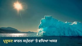 ਧਰਤੀ ਹੀ ਨਹੀਂ, ਸਮੁੰਦਰ ‘ਚ ਵੀ ਅੱਗ! ਪ੍ਰਦੂਸ਼ਣ ਕਾਰਨ ਤਾਪਮਾਨ ਨੇ ਅਗਸਤ ‘ਚ ਬਣਾਇਆ ਨਵਾਂ ਰਿਕਾਰਡ...