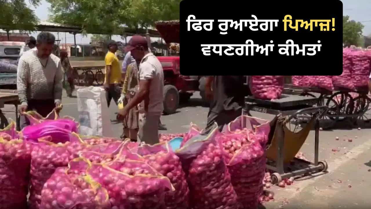 ਫਿਰ ਰੁਆਏਗਾ ਪਿਆਜ਼! ਦੇਸ਼ ਚ ਵਧਣ ਵਾਲੀਆਂ ਹਨ ਪਿਆਜ਼ ਦੀਆਂ ਕੀਮਤਾਂ, ਆਮ ਲੋਕਾਂ ਦੀ ਜੇਬ ਤੇ ਪਵੇਗਾ ਬੋਝ ਫਿਰ ਰੁਆਏਗਾ ਪਿਆਜ਼! ਦੇਸ਼ ਚ ਵਧਣ ਵਾਲੀਆਂ ਹਨ ਪਿਆਜ਼ ਦੀਆਂ ਕੀਮਤਾਂ, ਆਮ ਲੋਕਾਂ ਦੀ ਜੇਬ ਤੇ ਪਵੇਗਾ ਬੋਝ