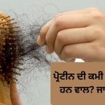 ਕੀ ਪ੍ਰੋਟੀਨ ਦੀ ਕਮੀ ਨਾਲ ਵਾਲ ਝੜਦੇ ਹਨ? ਜਾਣੋ ਇਸ ਦੇ ਪਿੱਛੇ ਦੀ ਸੱਚਾਈ