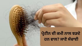 ਕੀ ਪ੍ਰੋਟੀਨ ਦੀ ਕਮੀ ਨਾਲ ਵਾਲ ਝੜਦੇ ਹਨ? ਜਾਣੋ ਇਸ ਦੇ ਪਿੱਛੇ ਦੀ ਸੱਚਾਈ
