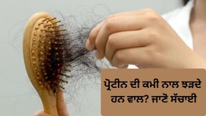 ਕੀ ਪ੍ਰੋਟੀਨ ਦੀ ਕਮੀ ਨਾਲ ਵਾਲ ਝੜਦੇ ਹਨ? ਜਾਣੋ ਇਸ ਦੇ ਪਿੱਛੇ ਦੀ ਸੱਚਾਈ