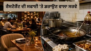 ਮਹਿੰਗੇ AC ਰੈਸਟੋਰੈਂਟਾਂ ਦਾ ਗੰਦਾ ਸੱਚ... ਸਰਵੇ 'ਚ ਆਇਆ ਡਰਾਉਣ ਵਾਲਾ ਅੰਕੜਾ! ਮਹਿੰਗੇ AC ਰੈਸਟੋਰੈਂਟਾਂ ਦਾ ਗੰਦਾ ਸੱਚ... ਸਰਵੇ 'ਚ ਆਇਆ ਡਰਾਉਣ ਵਾਲਾ ਅੰਕੜਾ!