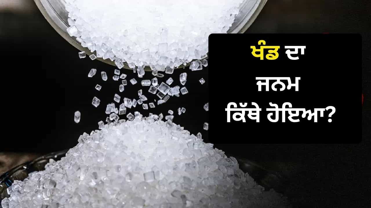 Sugar Price: ਕੀ ਭਾਰਤ ਚ ਪਹਿਲੀ ਵਾਰ ਬਣੀ ਸੀ ਖੰਡ, ਜੋ ਫ਼ਾਰਸ ਤੋਂ ਹੁੰਦੇ ਹੋਏ ਅਰਬ ਤੱਕ ਪਹੁੰਚੀ? Sugar Price: ਕੀ ਭਾਰਤ ਚ ਪਹਿਲੀ ਵਾਰ ਬਣੀ ਸੀ ਖੰਡ, ਜੋ ਫ਼ਾਰਸ ਤੋਂ ਹੁੰਦੇ ਹੋਏ ਅਰਬ ਤੱਕ ਪਹੁੰਚੀ?