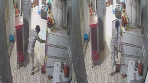 ਫਗਵਾੜਾ 'ਚ ਮੰਦਰ ਦੀ ਕੰਧ ਟੱਪ ਕੇ ਚੋਰੀ, CCTV 'ਚ ਕੈਦ ਹੋਈ ਘਟਨਾ ਫਗਵਾੜਾ 'ਚ ਮੰਦਰ ਦੀ ਕੰਧ ਟੱਪ ਕੇ ਚੋਰੀ, CCTV 'ਚ ਕੈਦ ਹੋਈ ਘਟਨਾ