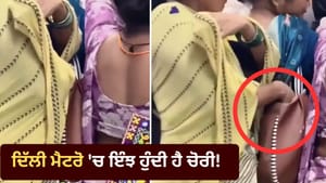 ਦਿੱਲੀ ਮੈਟਰੋ 'ਚ ਇੰਝ ਹੁੰਦੀ ਹੈ ਚੋਰੀ! VIDEO ਦੇਖ ਕੇ ਉੱਡ ਜਾਣਗੇ ਹੋਸ਼