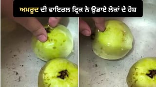 Guava Viral Video: ਅਮਰੂਦ ਖਾਣ ਤੋਂ ਪਹਿਲਾਂ ਦੇਖ ਲਓ ਇਹ ਵਾਇਰਲ ਵੀਡੀਓ, 2 ਘੰਟੇ ਪਾਣੀ ‘ਚ ਭਿਉਂਣ ਤੋਂ ਬਾਅਦ ਛਿਲਕੇ ‘ਚੋਂ ਨਿਕਲੇ ਕੀੜੇ