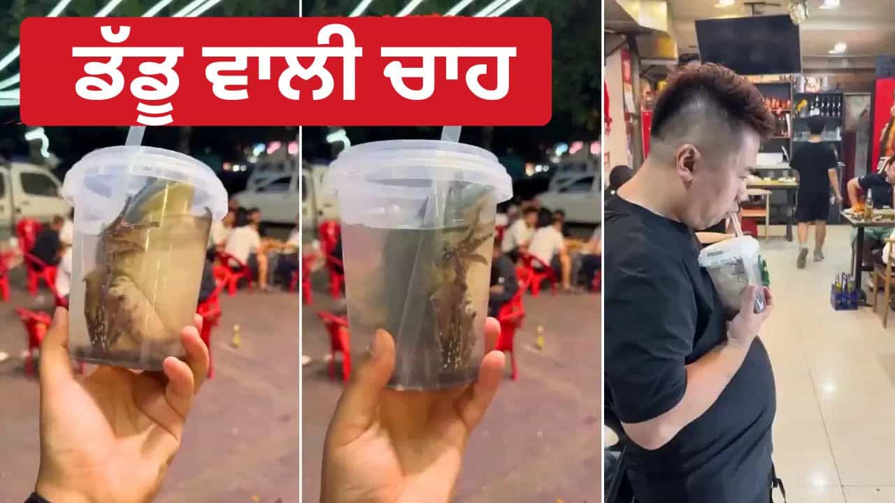 China Milk Tea: ਚਾਹ ਚ ਜ਼ਿੰਦਾ ਡੱਡੂ ਪਾ ਕੇ ਪੀ ਰਹੇ ਚੀਨ ਵਾਲੇ? ਸੋਸ਼ਲ ਮੀਡੀਆ ਤੇ ਵਾਇਰਲ ਇਸ ਘਿਣਾਉਣੀ ਵੀਡੀਓ ਦੀ ਸੱਚਾਈ ਉਡਾ ਦੇਵੇਗੀ ਹੋਸ਼ China Milk Tea: ਚਾਹ ਚ ਜ਼ਿੰਦਾ ਡੱਡੂ ਪਾ ਕੇ ਪੀ ਰਹੇ ਚੀਨ ਵਾਲੇ? ਸੋਸ਼ਲ ਮੀਡੀਆ ਤੇ ਵਾਇਰਲ ਇਸ ਘਿਣਾਉਣੀ ਵੀਡੀਓ ਦੀ ਸੱਚਾਈ ਉਡਾ ਦੇਵੇਗੀ ਹੋਸ਼
