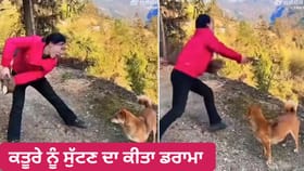Viral Video: ਬੇਜ਼ੁਬਾਨ ਮਾਂ ਦੇ ਦਰਦ ਦਾ ਉਡਾਇਆ ਮਜ਼ਾਕ! ਪਹਾੜੀ ‘ਤੇ ਕਤੂਰੇ ਨਾਲ ਔਰਤ ਦਾ ਕਰੂਰ ਪ੍ਰੈਂਕ, ਵੀਡੀਓ ਦੇਖ ਕੇ ਖੌਲਿਆ ਲੋਕਾਂ ਦਾ ਖੂਨ...
