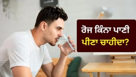 ਜਾਣੋ ਦਿਨ ਭਰ ਸਰੀਰ ਨੂੰ ਹਾਈਡ੍ਰੇਟ ਰੱਖਣ ਲਈ ਕਿੰਨਾ ਪਾਣੀ ਪੀਣਾ ਚਾਹੀਦਾ?