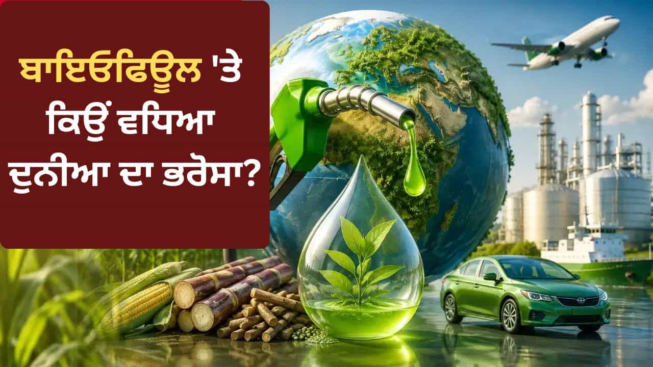 World Biofuel Day: ਕੱਚੇ ਤੇਲ ਨੂੰ ਛੱਡੋ, ਜਾਣੋ ਬਾਇਓਫਿਊਲ ਦਾ ਬਾਦਸ਼ਾਹ ਕੌਣ? ਜਿਸ ਤੇ ਦੁਨੀਆ ਦੀਆਂ ਨਜ਼ਰਾਂ World Biofuel Day: ਕੱਚੇ ਤੇਲ ਨੂੰ ਛੱਡੋ, ਜਾਣੋ ਬਾਇਓਫਿਊਲ ਦਾ ਬਾਦਸ਼ਾਹ ਕੌਣ? ਜਿਸ ਤੇ ਦੁਨੀਆ ਦੀਆਂ ਨਜ਼ਰਾਂ