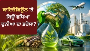 ਕੱਚੇ ਤੇਲ ਨੂੰ ਛੱਡੋ, ਜਾਣੋ ਬਾਇਓਫਿਊਲ ਦਾ ਬਾਦਸ਼ਾਹ ਕੌਣ? ਜਿਸ 'ਤੇ ਦੁਨੀਆ ਦੀ ਨਜ਼ਰ ਕੱਚੇ ਤੇਲ ਨੂੰ ਛੱਡੋ, ਜਾਣੋ ਬਾਇਓਫਿਊਲ ਦਾ ਬਾਦਸ਼ਾਹ ਕੌਣ? ਜਿਸ 'ਤੇ ਦੁਨੀਆ ਦੀ ਨਜ਼ਰ