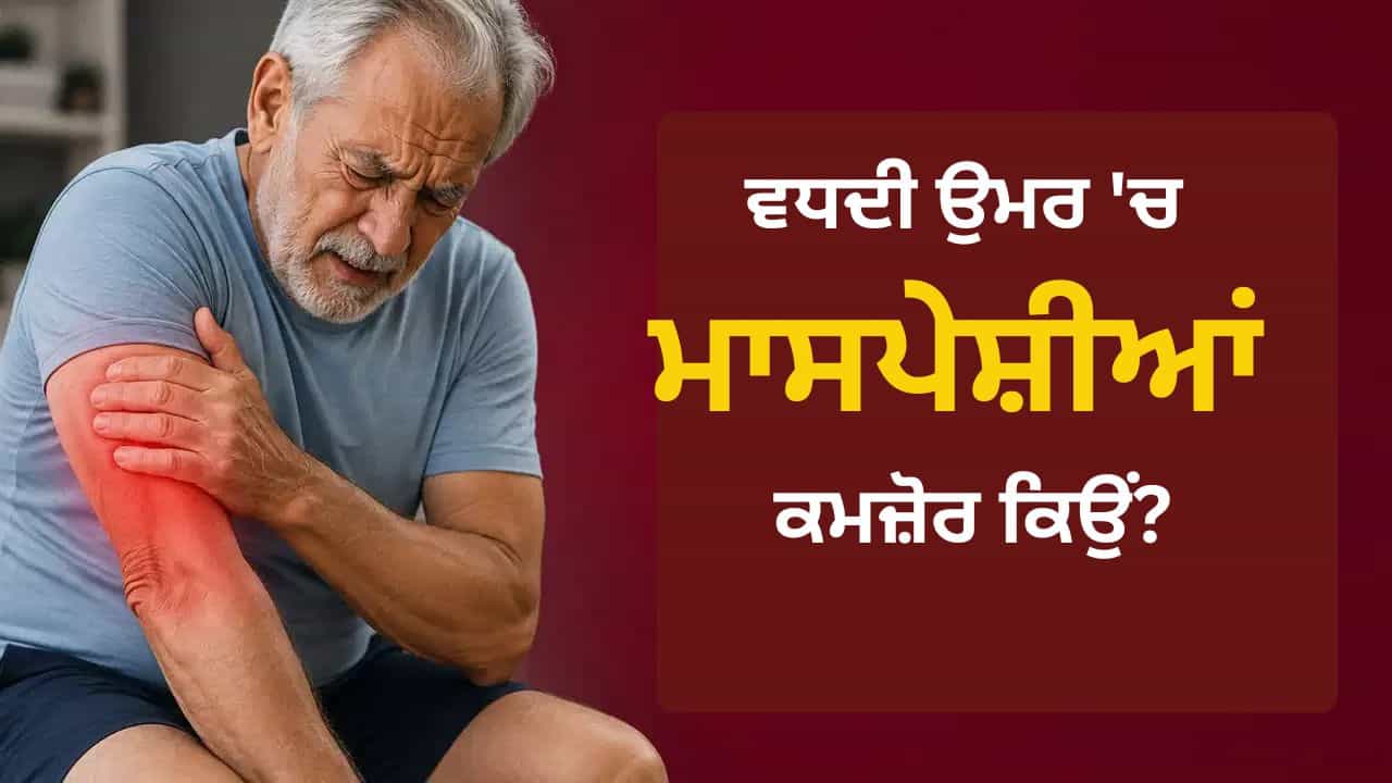 ਵਧਦੀ ਉਮਰ ਚ ਮਾਸਪੇਸ਼ੀਆਂ ਦਾ ਧਿਆਨ ਰੱਖਣਾ ਕਿਉਂ ਹੈ ਜ਼ਰੂਰੀ? ਜਾਣੋ ਕਾਰਨ ਵਧਦੀ ਉਮਰ ਚ ਮਾਸਪੇਸ਼ੀਆਂ ਦਾ ਧਿਆਨ ਰੱਖਣਾ ਕਿਉਂ ਹੈ ਜ਼ਰੂਰੀ? ਜਾਣੋ ਕਾਰਨ