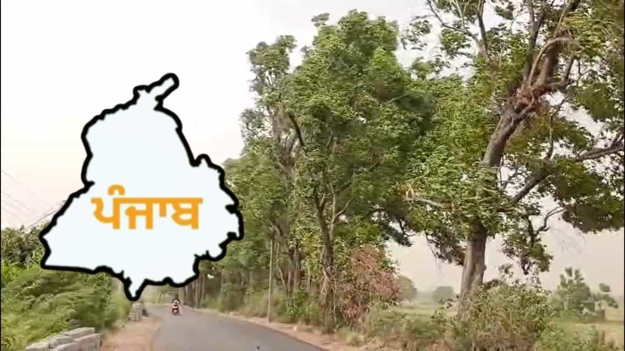 ਪੰਜਾਬ ਦੇ ਕੁਝ ਜ਼ਿਲ੍ਹਿਆਂ ਚ ਅੱਜ ਬਾਰਿਸ਼ ਦੀ ਸੰਭਾਵਨਾ, ਜਾਣੋ ਆਉਣ ਵਾਲੇ ਦਿਨਾਂ ਚ ਕਿਵੇਂ ਦਾ ਰਹੇਗਾ ਮੌਸਮ ਪੰਜਾਬ ਦੇ ਕੁਝ ਜ਼ਿਲ੍ਹਿਆਂ ਚ ਅੱਜ ਬਾਰਿਸ਼ ਦੀ ਸੰਭਾਵਨਾ, ਜਾਣੋ ਆਉਣ ਵਾਲੇ ਦਿਨਾਂ ਚ ਕਿਵੇਂ ਦਾ ਰਹੇਗਾ ਮੌਸਮ