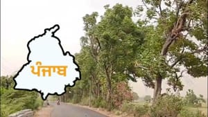 ਪੰਜਾਬ ਦੇ ਕੁਝ ਜ਼ਿਲ੍ਹਿਆਂ 'ਚ ਅੱਜ ਬਾਰਿਸ਼ ਦੀ ਸੰਭਾਵਨਾ, ਜਾਣੋ ਮੌਸਮ ਦਾ ਹਾਲ ਪੰਜਾਬ ਦੇ ਕੁਝ ਜ਼ਿਲ੍ਹਿਆਂ 'ਚ ਅੱਜ ਬਾਰਿਸ਼ ਦੀ ਸੰਭਾਵਨਾ, ਜਾਣੋ ਮੌਸਮ ਦਾ ਹਾਲ