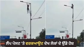 ਜਿਮ ਛੱਡ ਲੈਂਪ ਪੋਸਟ 'ਤੇ ਪੁਲ-ਅੱਪਸ ਕਰਦਾ ਦਿਖਿਆ ਨੌਜਵਾਨ, ਲੋਕ ਰਹਿ ਗਏ ਹੈਰਾਨ
