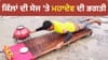 ਕਿੱਲਾਂ ਦੀ ਸੇਜ 'ਤੇ ਮਹਾਦੇਵ ਦੀ ਭਗਤੀ! ਕਾਂਵੜੀਆ ਦੀ ਹੈਰਾਨ ਕਰ ਦੇਣ ਵਾਲੀ Video...