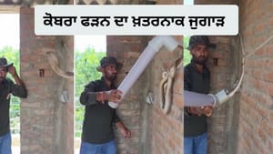 PVC ਪਾਈਪ ਨਾਲ ਕੋਬਰਾ ਨੂੰ ਕੀਤਾ ਕਾਬੂ, ਵੀਡੀਓ ਦੇਖ ਲੋਕਾਂ ਦੇ ਉੱਡੇ ਹੋਸ਼