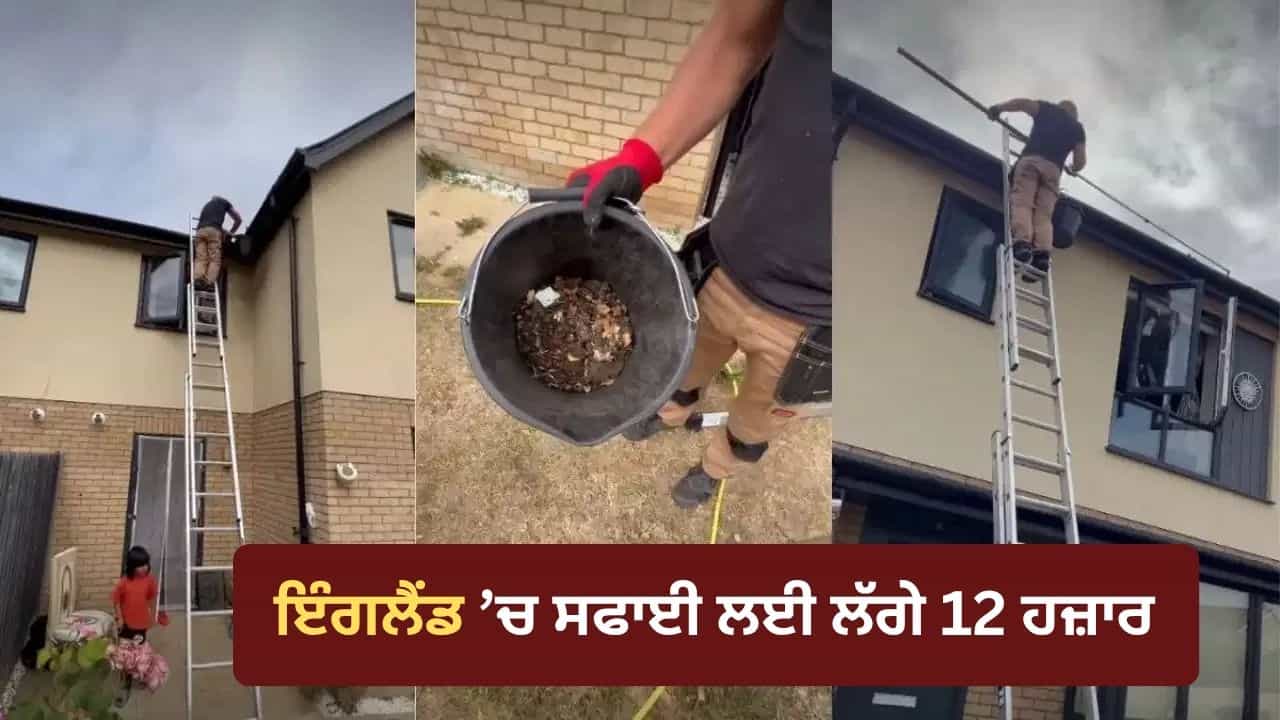 Viral Video: ਇੰਗਲੈਂਡ ਚ ਛੋਟੀ ਜਿਹੀ ਸਫਾਈ ਦਾ ਵੱਡਾ ਬਿੱਲ, 20 ਮਿੰਟ ਦੇ ਕੰਮ ਲਈ ਦੇਣੇ ਪਏ 12 ਹਜ਼ਾਰ ਰੁਪਏ Viral Video: ਇੰਗਲੈਂਡ ਚ ਛੋਟੀ ਜਿਹੀ ਸਫਾਈ ਦਾ ਵੱਡਾ ਬਿੱਲ, 20 ਮਿੰਟ ਦੇ ਕੰਮ ਲਈ ਦੇਣੇ ਪਏ 12 ਹਜ਼ਾਰ ਰੁਪਏ