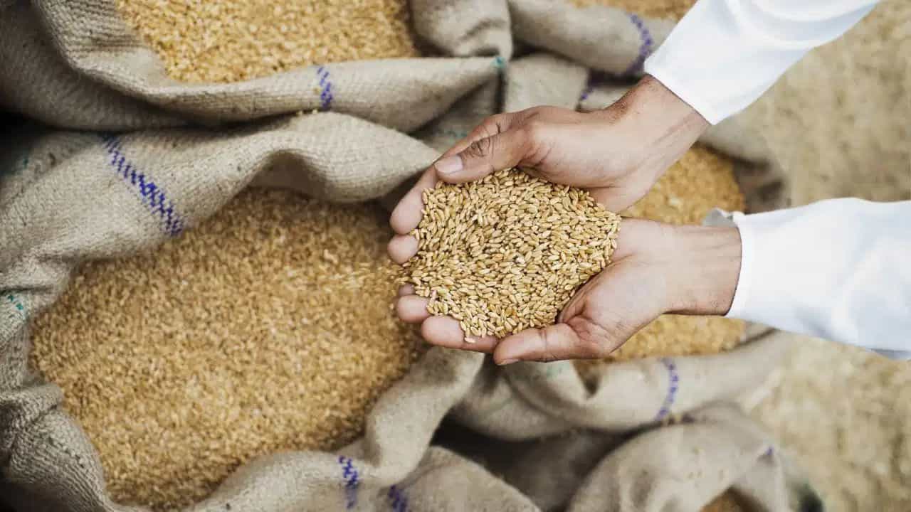 ਕਿਸਾਨਾਂ ਨੂੰ ਮੋਦੀ ਸਰਕਾਰ ਦਾ ਤੋਹਫ਼ਾ, 6 ਹਾੜੀ ਦੀਆਂ ਫਸਲਾਂ ਦਾ ਵਧਿਆ MSP ਕਿਸਾਨਾਂ ਨੂੰ ਮੋਦੀ ਸਰਕਾਰ ਦਾ ਤੋਹਫ਼ਾ, 6 ਹਾੜੀ ਦੀਆਂ ਫਸਲਾਂ ਦਾ ਵਧਿਆ MSP