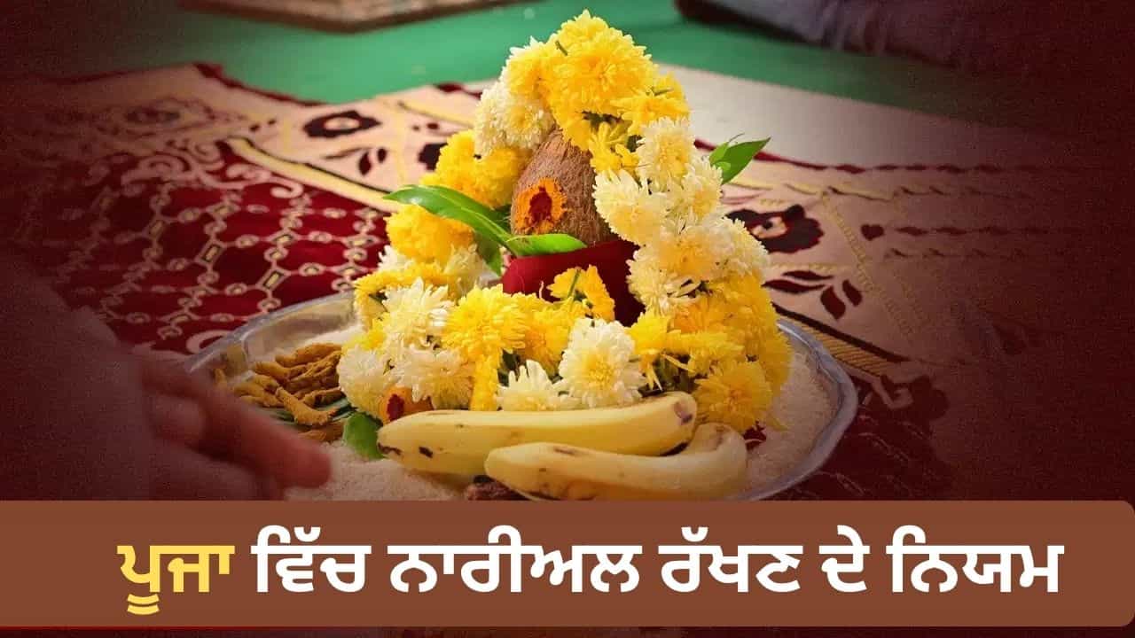 Coconut Religious Significance: ਪੂਜਾ ਚ ਨਾਰੀਅਲ ਰੱਖਣ ਤੋਂ ਲੈ ਕੇ ਵੰਡਣ ਤੱਕ, ਜਾਣੋ ਸ਼੍ਰੀਫਲ ਨਾਲ ਜੁੜੇ ਜ਼ਰੂਰੀ ਨਿਯਮ