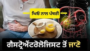 ਕੀ ਜ਼ਿਆਦਾ ਦੇਸੀ ਘਿਓ ਖਾਣ ਨਾਲ ਗਾਲ ਬਲੈਡਰ 'ਚ ਹੋ ਜਾਂਦੀ ਹੈ ਪੱਥਰੀ? ਕੀ ਜ਼ਿਆਦਾ ਦੇਸੀ ਘਿਓ ਖਾਣ ਨਾਲ ਗਾਲ ਬਲੈਡਰ 'ਚ ਹੋ ਜਾਂਦੀ ਹੈ ਪੱਥਰੀ?