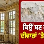 ਮਾਨਸੂਨ ‘ਚ ਘਰ ‘ਚ ਥਾਂ-ਥਾਂ ਦਿਖਾਈ ਦੇ ਰਹੀ ਹੈ ਸਿੱਲ੍ਹ? ਕਿਤੇ ਇਹ ਤਾਂ ਨਹੀਂ ਮੁੱਖ ਵਜ੍ਹਾ