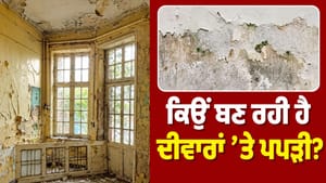 ਮਾਨਸੂਨ 'ਚ ਘਰ 'ਚ ਥਾਂ-ਥਾਂ ਦਿਖਾਈ ਦੇ ਰਹੀ ਹੈ ਸਿੱਲ੍ਹ? ਕਿਤੇ ਇਹ ਤਾਂ ਨਹੀਂ ਵਜ੍ਹਾ ਮਾਨਸੂਨ 'ਚ ਘਰ 'ਚ ਥਾਂ-ਥਾਂ ਦਿਖਾਈ ਦੇ ਰਹੀ ਹੈ ਸਿੱਲ੍ਹ? ਕਿਤੇ ਇਹ ਤਾਂ ਨਹੀਂ ਵਜ੍ਹਾ