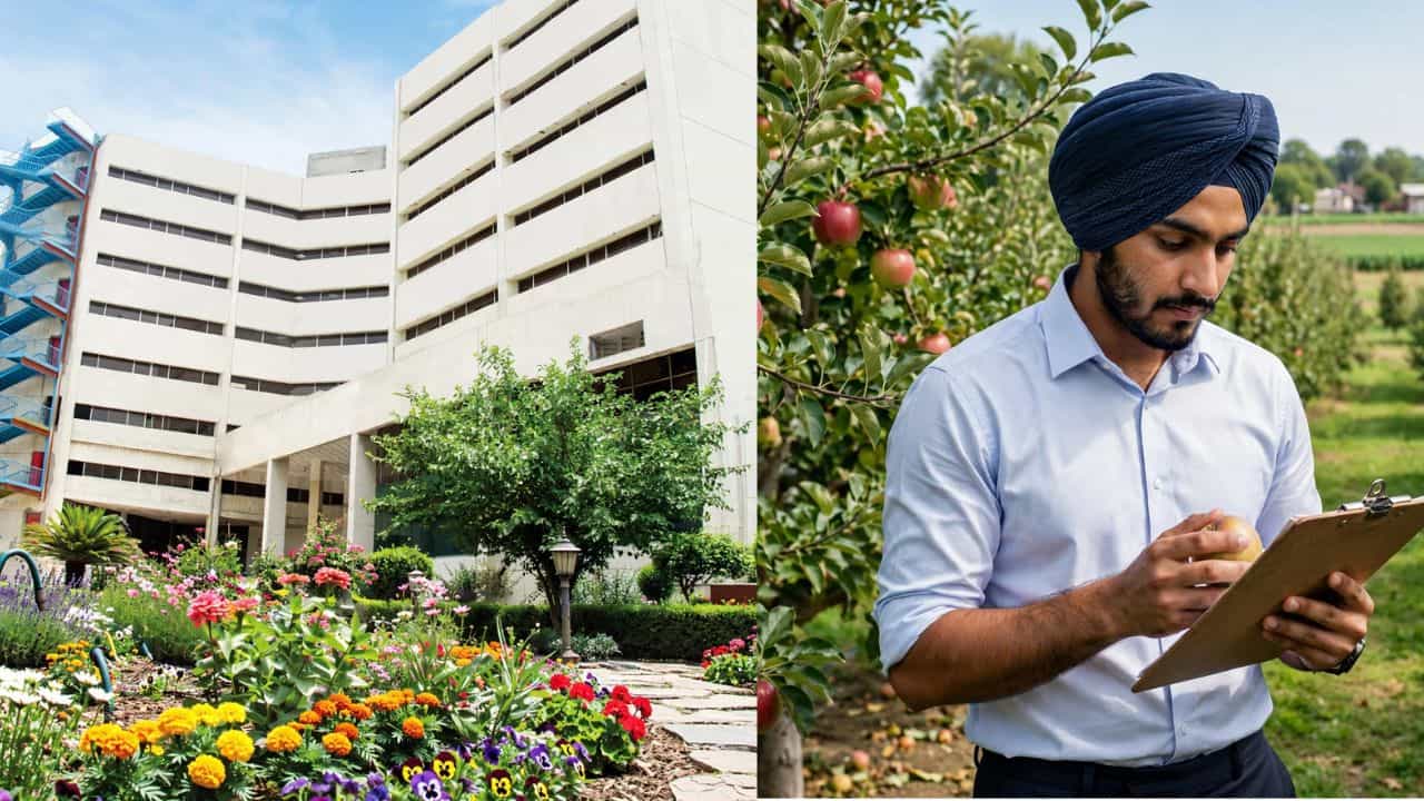 PPSC Recruitment Result: ਬਾਗਬਾਨੀ ਵਿਭਾਗ ਚ 101 HDO ਅਹੁਦਿਆਂ ਦਾ ਫਾਈਨਲ ਰਿਜ਼ਲਟ ਜਾਰੀ, ਜਾਣੋ ਕਿਸ ਨੇ ਕੀਤਾ ਟੌਪ PPSC Recruitment Result: ਬਾਗਬਾਨੀ ਵਿਭਾਗ ਚ 101 HDO ਅਹੁਦਿਆਂ ਦਾ ਫਾਈਨਲ ਰਿਜ਼ਲਟ ਜਾਰੀ, ਜਾਣੋ ਕਿਸ ਨੇ ਕੀਤਾ ਟੌਪ