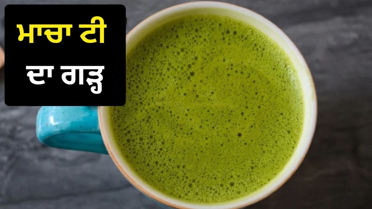 ਕੌਣ ਸਭ ਤੋਂ ਅੱਗੇ… ਦੁਨੀਆ ਭਰ ਵਿੱਚ ਮਾਚਾ ਟੀ ਨੂੰ ਲੈ ਕੇ ਲੋਕਾਂ ਦੀ ਦਿਲਚਸਪੀ ਵਧ ਰਹੀ ਹੈ। ਇਹ ਬਾਰੀਕ ਪੀਸੀ ਹੋਈ ਹਰੀ ਚਾਹ ਦੀਆਂ ਪੱਤੀਆਂ ਦਾ ਪਾਊਡਰ ਹੁੰਦਾ ਹੈ। ਪਿਛਲੇ ਕੁਝ ਸਾਲਾਂ ਵਿੱਚ ਇਸ ਦੀ ਲੋਕਪ੍ਰਿਯਤਾ ਕਾਫ਼ੀ ਵਧੀ ਹੈ। ਦੁਨੀਆ ਦੇ ਕੁਝ ਚੁਣਿੰਦਾ ਦੇਸ਼ਾਂ ਵਿੱਚ ਹੀ ਇਸ ਦਾ ਉਤਪਾਦਨ ਹੁੰਦਾ ਹੈ। ਚੀਨ, ਜਾਪਾਨ ਅਤੇ ਦੱਖਣੀ ਕੋਰੀਆ ਵਰਗੇ ਦੇਸ਼ਾਂ ਦੇ ਨਾਲ ਹੁਣ ਭਾਰਤ ਦੇ ਅਸਾਮ ਵਿੱਚ ਵੀ ਇਸ ਦਾ ਉਤਪਾਦਨ ਸ਼ੁਰੂ ਹੋ ਗਿਆ ਹੈ, ਪਰ ਸਵਾਲ ਇਹ ਹੈ ਕਿ ਇਸ ਨੂੰ ਤਿਆਰ ਕਰਨ ਵਿੱਚ ਕੌਣ ਸਭ ਤੋਂ ਅੱਗੇ ਹੈ। (ਫੋਟੋ: Pexels)