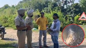 ਸੁਜਾਨਪੁਰ ਨਹਿਰ ਕੰਢਿਓਂ ਮਿਲਿਆ ਬੰਬ ਸ਼ੈੱਲ, ਪੁਲਿਸ ਨੇ ਇਲਾਕਾ ਸੀਲ ਕਰ ਫ਼ੌਜ ਬੁਲਾਈ
