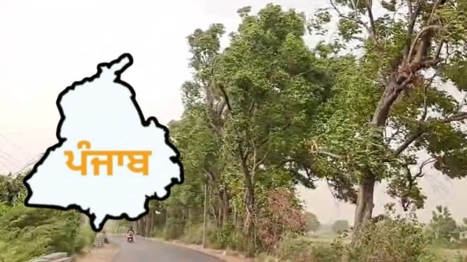 ਪੰਜਾਬ 'ਚ ਬਦਲਿਆ ਮੌਸਮ, 5 ਜ਼ਿਲ੍ਹਿਆਂ 'ਚ ਭਾਰੀ ਮੀਂਹ ਦਾ ਅਲਰਟ