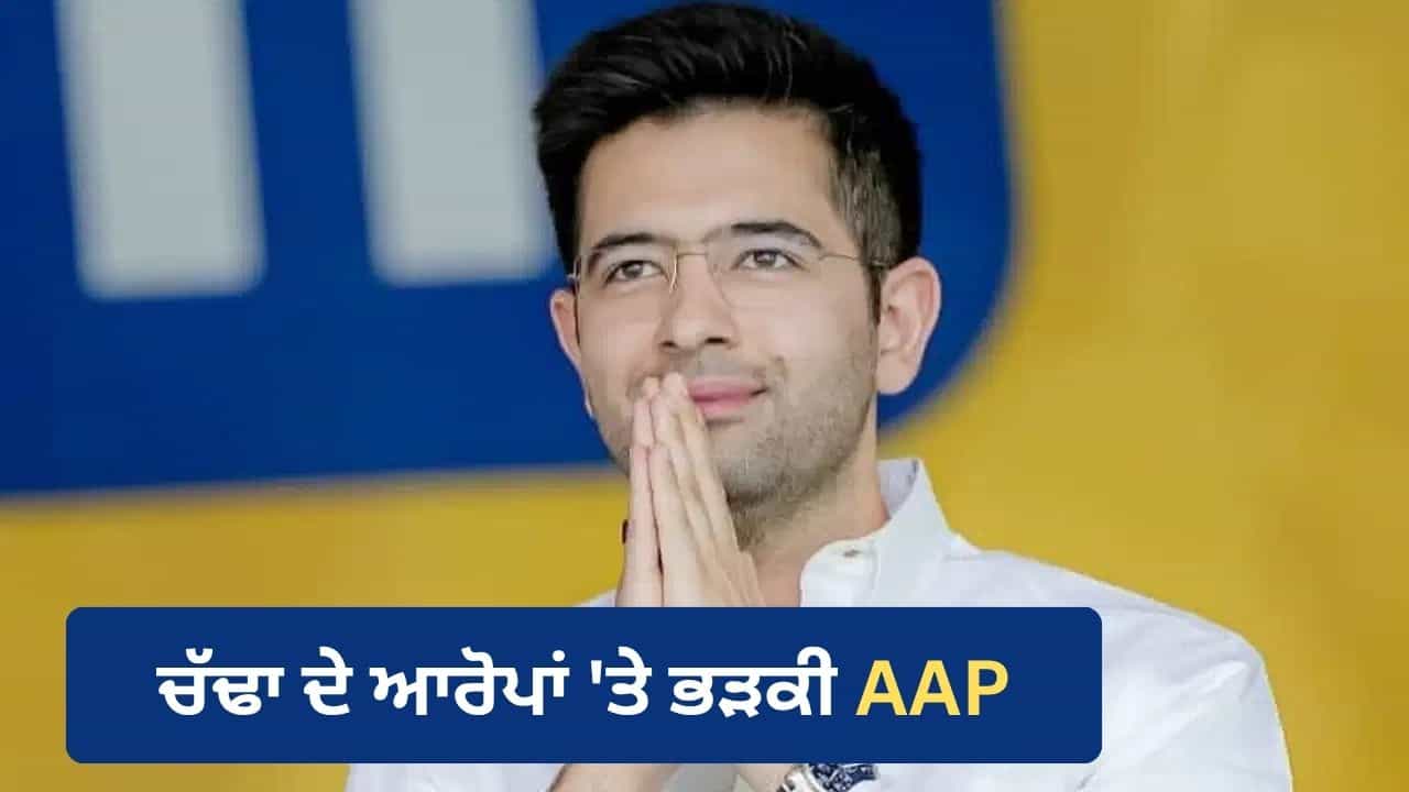 ਜੋ 20 ਲੱਖ ਵੋਟਾਂ ਕੱਟੀਆਂ ਗਈਆਂ, ਉਸ ਦੇ ਲਈ ਕੌਣ ਜ਼ਿੰਮੇਵਾਰ? ਰਾਘਵ ਚੱਢਾ ਦੇ ਆਰੋਪਾਂ ਤੇ AAP ਦਾ ਸਵਾਲ
