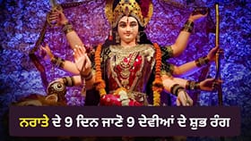Shardiya Navratri 2026: ਮਾਂ ਦੁਰਗਾ ਦੇ 9 ਸਰੂਪ, 9 ਭੋਗ ਤੇ 9 ਸ਼ੁਭ ਰੰਗ ਜਾਣੋ