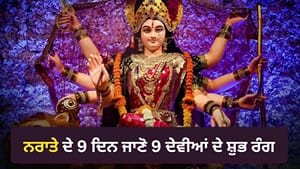 Shardiya Navratri 2026: ਮਾਂ ਦੁਰਗਾ ਦੇ 9 ਸਰੂਪ, 9 ਭੋਗ ਤੇ 9 ਸ਼ੁਭ ਰੰਗ ਜਾਣੋ