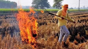 ਨਵਾਂ ਡ੍ਰਾਫਟ: ਪਰਾਲੀ ਸਾੜਨ 'ਤੇ 30 ਹਜ਼ਾਰ ਤੱਕ ਜ਼ੁਰਮਾਨਾ, 15 ਮਹੀਨੇ ਰੈੱਡ ਐਂਟਰੀ ਨਵਾਂ ਡ੍ਰਾਫਟ: ਪਰਾਲੀ ਸਾੜਨ 'ਤੇ 30 ਹਜ਼ਾਰ ਤੱਕ ਜ਼ੁਰਮਾਨਾ, 15 ਮਹੀਨੇ ਰੈੱਡ ਐਂਟਰੀ