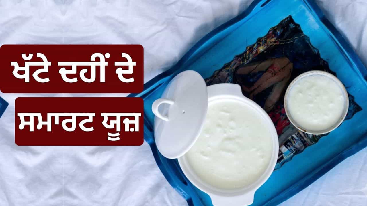ਦਹੀਂ ਹੋ ਗਿਆ ਹੈ ਜ਼ਿਆਦਾ ਖੱਟਾ... ਤਾਂ ਸੁੱਟਣ ਦੀ ਨਾ ਕਰੋ ਭੁੱਲ! ਜਾਣੋ ਵੱਖ-ਵੱਖ ਤਰੀਕਿਆਂ ਨਾਲ ਕਿਵੇਂ ਲਿਆਈਏ ਕੰਮ