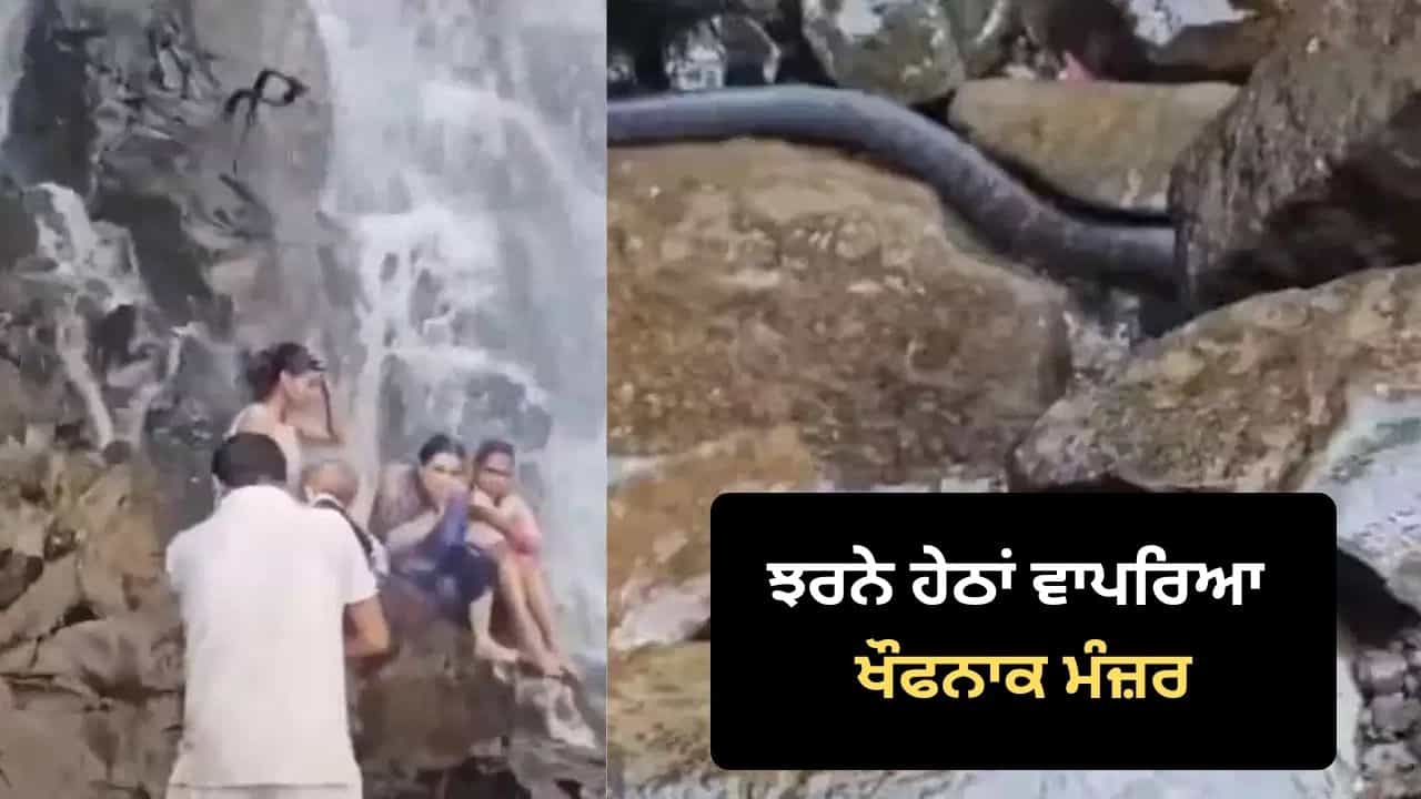 Viral Video: ਝਰਨੇ ਹੇਠਾਂ ਬੱਚਿਆਂ ਨਾਲ ਮਸਤੀ ਕਰ ਰਿਹਾ ਸੀ ਪਰਿਵਾਰ, ਅਚਾਨਕ ਉੱਪਰੋਂ ਆ ਡਿੱਗਾ ਮੋਟਾ ਕਾਲਾ ਸੱਪ