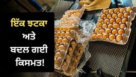 ਲੈਪਟਾਪ ਤੋਂ ਪੋਲਟਰੀ ਫਾਰਮ ਤੱਕ, ਕਾਰਪੋਰੇਟ ਗਰਲ ਨੇ ਇੰਝ ਬਦਲੀ ਆਪਣੀ ਕਿਸਮਤ