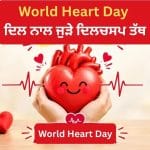 World Heart Day: ਇੱਕ ਮਿੰਟ ‘ਚ 72 ਧੜਕਨ, 6 ਲੀਟਰ ਖੂਨ ਪੰਪ… ਤੁਹਾਡਾ ਦਿਲ ਕਿੰਨਾ ਕੰਮ ਕਰਦਾ ਹੈ?
