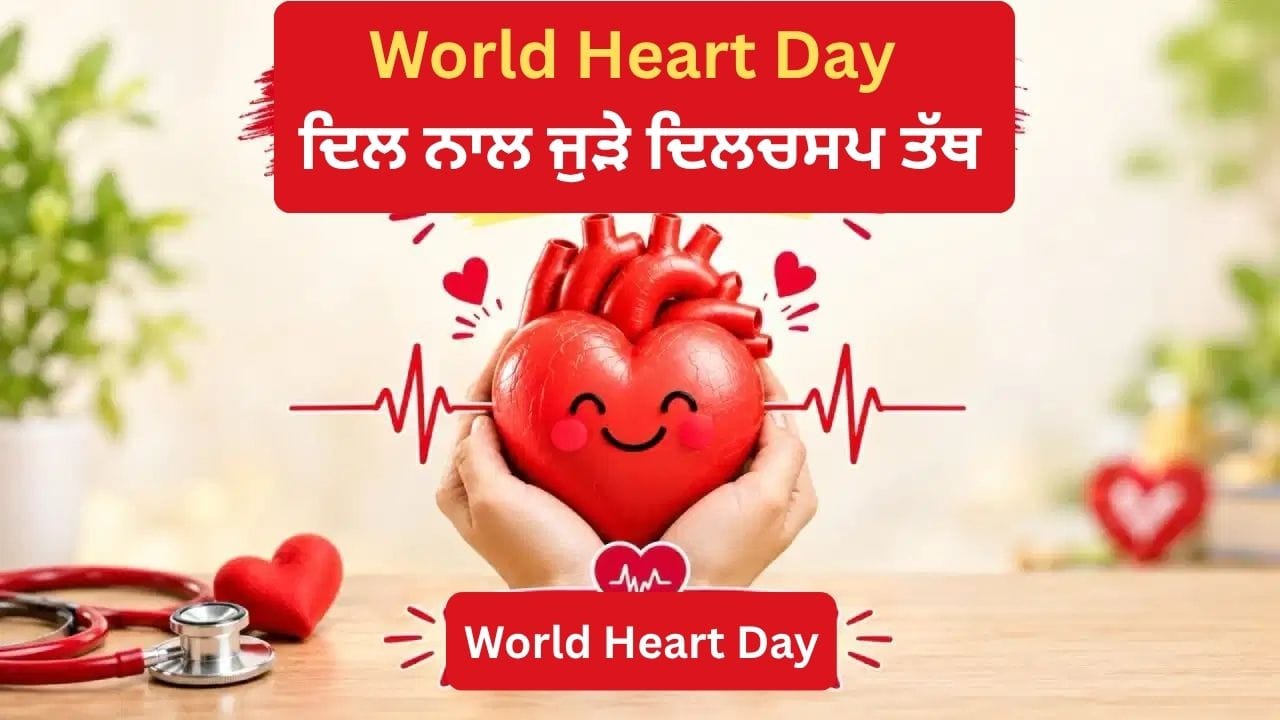 World Heart Day ਦਿਲ ਨਾਲ ਜੁੜੇ ਦਿਲਚਸਪ ਤੱਥ