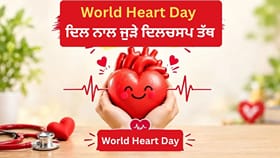ਇੱਕ ਮਿੰਟ 'ਚ 72 ਧੜਕਨ, 6 ਲੀਟਰ ਖੂਨ ਪੰਪ... ਤੁਹਾਡਾ ਦਿਲ ਕਿੰਨਾ ਕੰਮ ਕਰਦਾ ਹੈ?