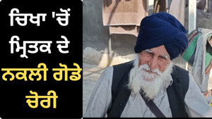 ਬਠਿੰਡਾ: ਚਿਖਾ 'ਚੋਂ ਮ੍ਰਿਤਕ ਦੇ ਨਕਲੀ ਗੋਡੇ ਚੋਰੀ, ਪਿੰਡ ਵਾਲਿਆਂ ਨੇ ਦਬੋਚਿਆ ਚੋਰ