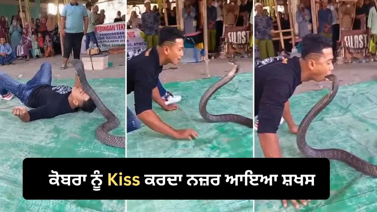 Viral Video: ਮੌਤ ਨਾਲ ਖੇਡ ਗਿਆ ਇਹ ਸ਼ਖਸ, ਕਿੰਗ ਕੋਬਰਾ ਨੂੰ ਇੰਝ ਕੀਤਾ Kiss, ਵਾਇਰਲ ਵੀਡੀਓ ਦੇਖ ਕੰਬ ਜਾਵੇਗੀ ਰੂਹ!