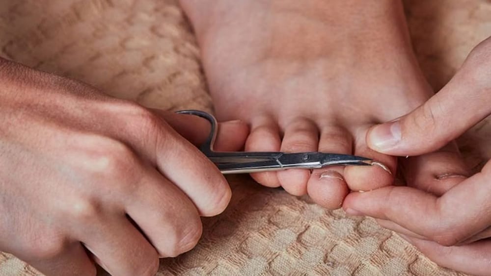 ਸ਼ਖ਼ਸੀਅਤ ਨੂੰ ਨਿਖਾਰਨ ਲਈ ਸਫ਼ਾਈ ਅਤੇ ਹਾਈਜੀਨ ਦਾ ਧਿਆਨ ਰੱਖਣਾ ਵੀ ਬਹੁਤ ਜ਼ਰੂਰੀ ਹੈ। ਆਪਣੇ ਵਾਲਾਂ ਨੂੰ ਚੰਗੀ ਤਰ੍ਹਾਂ ਸੈੱਟ ਕਰੋ। ਵਾਲਾਂ ਨੂੰ ਸਿਹਤਮੰਦ ਅਤੇ ਚਮਕਦਾਰ ਬਣਾਈ ਰੱਖਣ ਲਈ ਸਿਰਫ਼ ਹੇਅਰ ਕਟਿੰਗ ਹੀ ਨਹੀਂ, ਸਗੋਂ ਉਨ੍ਹਾਂ ਦੀ ਦੇਖਭਾਲ ਕਰਨੀ ਵੀ ਜ਼ਰੂਰੀ ਹੈ। ਜੇਕਰ ਤੁਸੀਂ ਪੁਰਸ਼ ਹੋ, ਤਾਂ ਆਪਣੀ ਸ਼ੇਵਿੰਗ ਵੱਲ ਵੀ ਧਿਆਨ ਦਿਓ। ਇਸ ਤੋਂ ਇਲਾਵਾ ਨਹੁੰਆਂ ਦੀ ਸਫ਼ਾਈ ਦਾ ਵੀ ਖ਼ਾਸ ਖ਼ਿਆਲ ਰੱਖੋ।