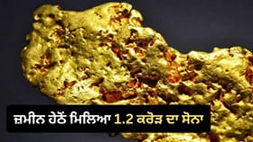 ਮਿੱਟੀ 'ਚ ਦਿਖੀ ਪੀਲੀ ਚਮਕ, ਖੁਦਾਈ ਕੀਤੀ ਤਾਂ ਮਿਲਿਆ 1.2 ਕਰੋੜ ਦਾ ਸੋਨਾ!