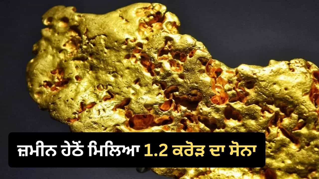 Australia Gold Discovery: ਮਿੱਟੀ ਚ ਦਿਖੀ ਪੀਲੀ ਚਮਕ, ਜ਼ਮੀਨ ਪੁੱਟੀ ਤਾਂ ਚਮਕੀ ਕਿਸਮਤ, ਮਿਲਿਆ 1.2 ਕਰੋੜ ਦਾ ਸੋਨਾ! Australia Gold Discovery: ਮਿੱਟੀ ਚ ਦਿਖੀ ਪੀਲੀ ਚਮਕ, ਜ਼ਮੀਨ ਪੁੱਟੀ ਤਾਂ ਚਮਕੀ ਕਿਸਮਤ, ਮਿਲਿਆ 1.2 ਕਰੋੜ ਦਾ ਸੋਨਾ!