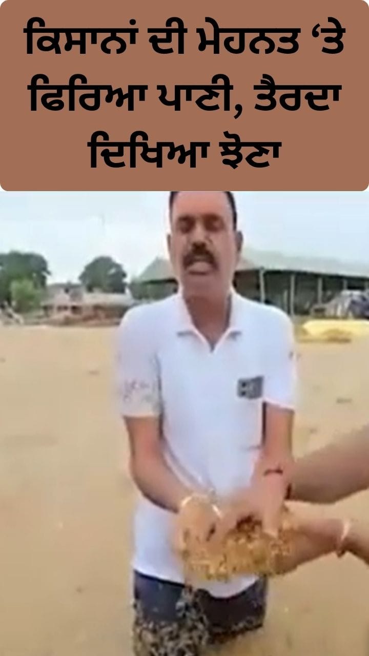 ਫਾਜ਼ਿਲਕਾ: ਮੀਂਹ ਦੀ ਤਬਾਹੀ, ਕਿਸਾਨਾਂ ਦੀ ਮੇਹਨਤ 'ਤੇ ਵਰ੍ਹਿਆ ਪਾਣੀ